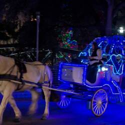 Kutschenfahrt durchs historische Viertel