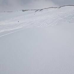 frische Spuren in altem Schnee