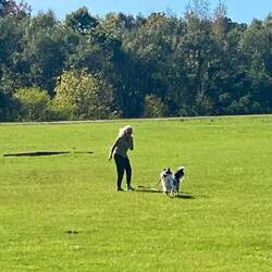 We had a good run in the open field