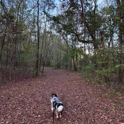 Tonight's stop has a trail