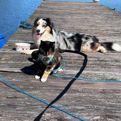 I said stay but she said no. They were both laying together