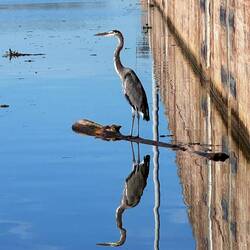 Aberdeen Lock. Waiting on another boat to arrive