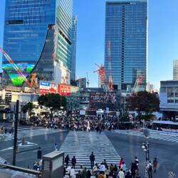 Das ist DIE Kreuzung - Shibuya