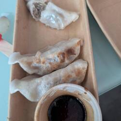 Potsticker - GYOZA