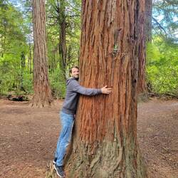 Andi und ein Redwood