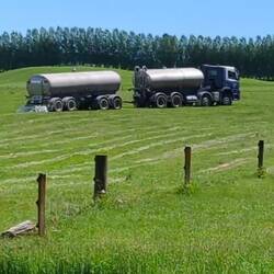 Das ist übrigens das Geheimnis, warum hier alles so grün ist 😉