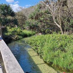 frischer Süsswasserbach