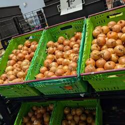 ... Ist echt günstig!