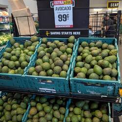 ... Und Saison hat...