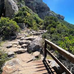Über Stock und Stein