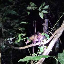 Dieser Freund hatte Angst vor irgendwas am Boden