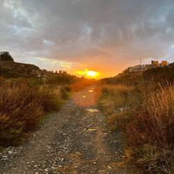 ..entlanggeht, wo mich schließlich die untergehende Sonne..