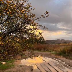 ..zwingt, mir ein gatschiges Plätzchen für die Nacht zu suchen ⛺️