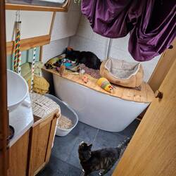 Abby realising she's got company!