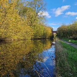 Beautiful autumn light and colour