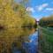 Beautiful autumn light and colour