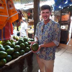 Avocado groß wie Kindsköpfe