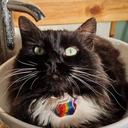 Another journey, another lie in the sink