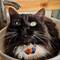 Another journey, another lie in the sink