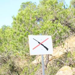 Ob das ernst gemeint ist? ;-)