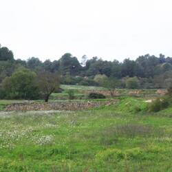 Landschaft direkt hinter dem Stellplatz