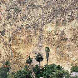 El oasis al fondo del cañón
