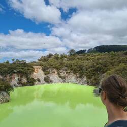 Und dann wurde es tatsächlich noch grüner!