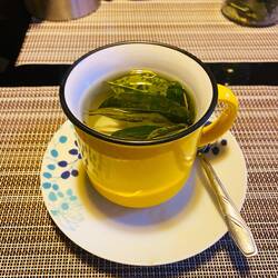 Coca maté