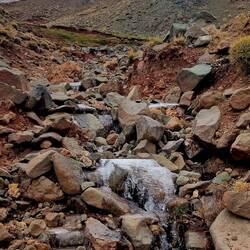 Gefrorenes Wasserrinnsal!