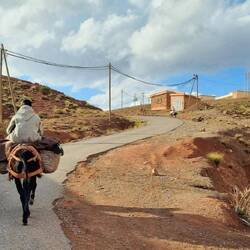 Es geht wieder heimwärts...