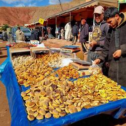 Der Bachmann von Abachkou!😉