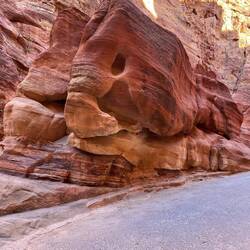 Do you see the trunk of the elephant from water erosion?