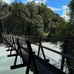 Robert's Point Track