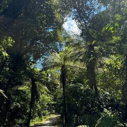 Robert's Point Track