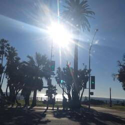 Endlich wieder am Pacific zurück