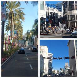 Rodeo Drive