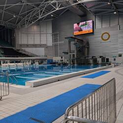 The diving well
