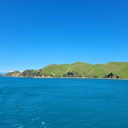 Im Queen Charlotte Sound...