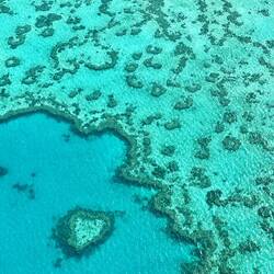 Heart Reef ❤️