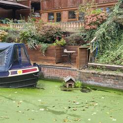 Cute little floating duck house