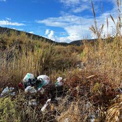 Auch heute begleitet mich, wenn auch deutlich seltener, Müll am Wegesrand 😤
