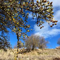 ..ich bei Sonne durchaus ins Schwitzen komme.