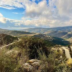Schnell suche ich mir ein Plätzchen, eher der Dauerregen beginnt.