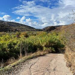 Das Terrain ist gegenüber gestern deutlich steiler, sodass..