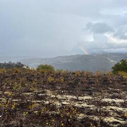 Nach dem Ort Trodos, komme ich an..