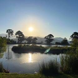 Abendstimmung Frenschhoek