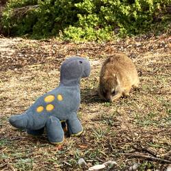 Howard auf Tuchfühlung mit Klippschlieferbabies