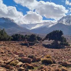 Der schneebedeckte Jebel M'Goun