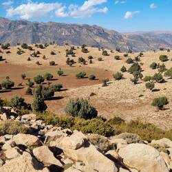 Perfekter Ort für die Mittagsrast. Wo ist das Maultier?