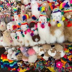 Andi überlegt, ob er sich einen Plüsch-Alpaka zulegt